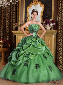 Green Princess Strapless Organza Quince Dresses with Appliques on Sale