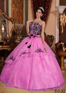 Custom Made Strapless Organza Embroidery Sweet 15 Dresses in Hot Pink