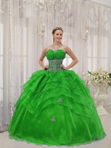 Spring Green Strapless Organza Appliqued and Beaded Quinceanera Dress