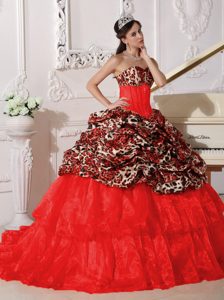 Red Sweetheart Appliqued Sweet Sixteen Dresses in Leopard and Organza