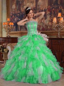 Strapless Organza Quinceanera Gowns with Ruffles and Appliques in Green
