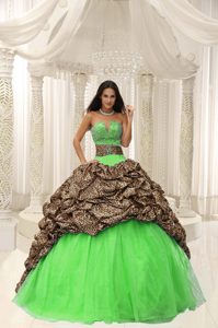 Beaded Organza Affordable Quince Dresses in Leopard and Organza