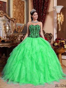 Exquisite Embroidered Spring Green Long Dress for Quince with Ruffles