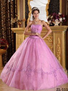 Strapless Lace-up Tulle Impressive Long Quinceanera Gowns in Pink