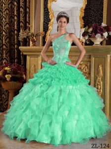 Apple Green One Shoulder Organza Impressive Sweet 16 Dress for Fall