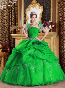 Fashionable Spaghetti Lace-up Organza Quinceanera Gowns in Green