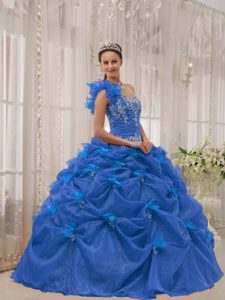 One Shoulder Blue Organza Classical Quinceanera Dresses for Spring