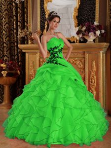 Sweetheart Green Organza Fabulous Sweet Sixteen Dress with Appliques
