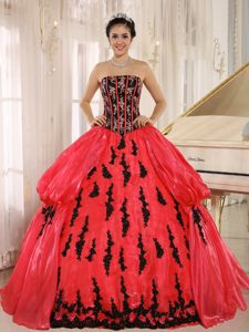 2013 Coral Red Strapless Ball Gown Quinceanera Dress with Appliques and Pick-ups