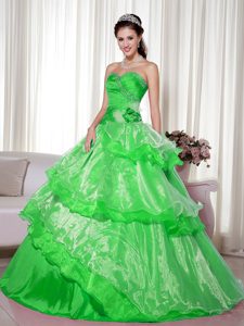 Spring Green Sweetheart Beaded Organza Quinceanera Dress with Layers and Flower