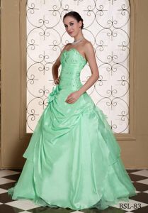 Beaded Bust Sweet Taffeta and Organza Gown Quince Dresses with Flower