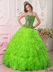 Ball Gown Sweetheart Organza Beaded Sweet 15 Dresses in Spring Green