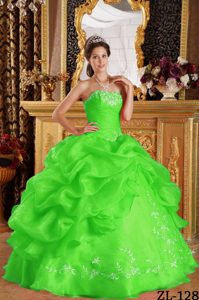 Embroidery Organza Ball Gown Strapless Quince Dresses in Spring Green