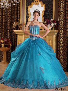 Teal Ball Gown Sweetheart Appliques Dress for Quinceanera in Organza