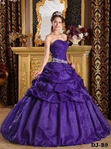 Purple Strapless Floor-length Pick-ups Sweet Sixteen Dresses in Taffeta