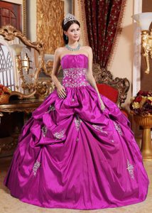Strapless Taffeta Hot Pink Ball Gown Sweet Sixteen Dresses with Appliques