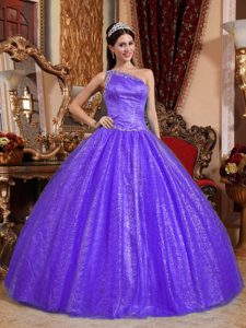 Pretty One Shoulder Purple Quinceanera Gowns in Tulle and Taffeta