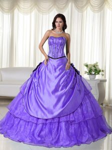 Strapless Ball Gown Style Organza Lovely Sweet 16 Dresses with Beading