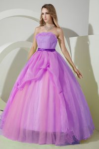 Strapless Organza Elegant Dresses for Quinceanera with Embroidery