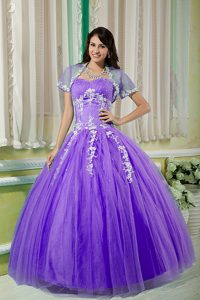 Purple Ball Gown Sweetheart Beautiful Sweet 16 Dresses with Appliques