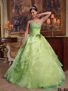 Yellow Green Ruched and Appliqued Sweet Sixteen Dress with Handmade Flower