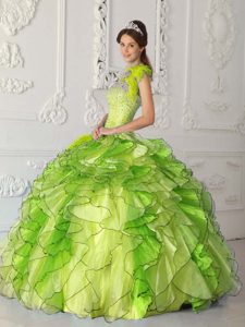 Yellow Green Ball Gown Quinceanera Dress with Beadings and Ruffles in Organza
