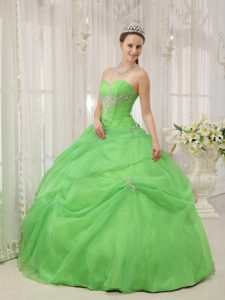 Cheap Sweetheart Spring Green Dress for Quince with White Appliques on Sale