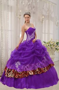 Sweetheart Ruched and Appliqued Dress for Quince with Pick-ups and Leopard
