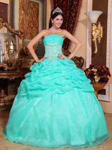 Apple Green Organza Sweet Sixteen Quince Dresses with Appliques and Pick-ups