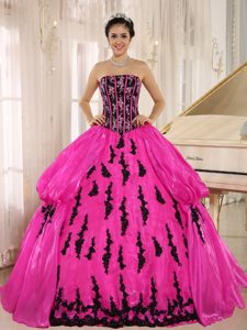 Hot Pink Dresses for Quinceanera with Embroidery and Strapless on Promotion