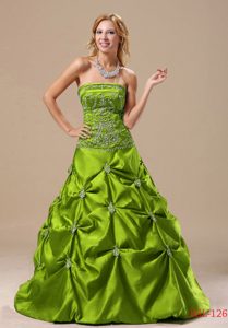Olive Green Strapless Princess Taffeta Appliqued Quinceanera Dress with Pick-ups