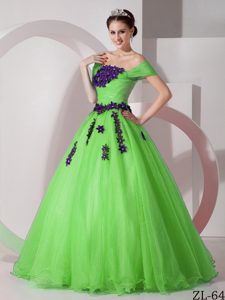 Cheap off-the-shoulder Spring Green Quinceanera Dress with Purple Floral Appliques