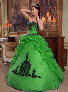 Strapless Ball Gown Green Organza Quinceanera Dress with Pick-ups and Appliques