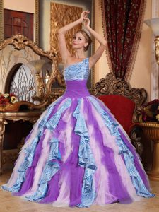 One-shoulder Ball Gown Multi-colored Quinceanera Dress with Zebra on Promotion