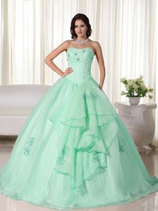 Apple Green Long Organza Magnificent Quinceanera Gown with Embroidery