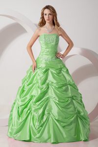 Apple Green A-line Taffeta Wonderful Quinceanera Gown Dress for Fall