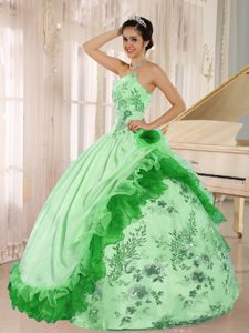 2013 Gorgeous Lace-up Organza Long Quinceanera Dresses with Flowers