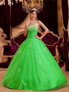 Spring Green Princess Strapless Appliques Tulle 2013 Sweet Sixteen Dresses