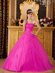 Hot Pink Princess Strapless Tulle Appliques Quinceanera Dress on Promotion