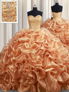 Attractive Organza Sleeveless 15 Quinceanera Dress Court Train and Beading and Ruffles and Pick Ups