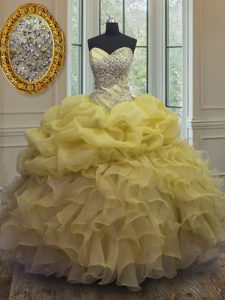 Sweetheart Sleeveless Organza Quinceanera Dress Beading and Ruffles and Pick Ups Lace Up