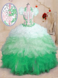 Multi-color Sweetheart Lace Up Beading and Appliques and Ruffles 15 Quinceanera Dress Brush Train Sleeveless