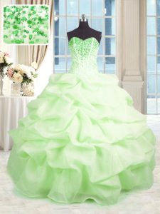 Ball Gowns Quinceanera Dress Sweetheart Organza Sleeveless Floor Length Lace Up