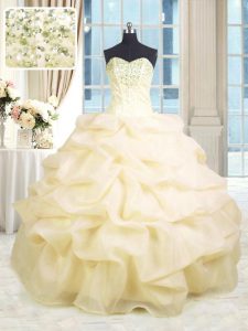 Floor Length Champagne Quinceanera Dresses Organza Sleeveless Beading and Ruffles