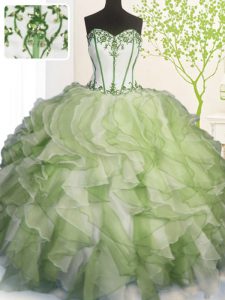 Trendy Multi-color Sleeveless Beading and Ruffles Floor Length Sweet 16 Quinceanera Dress