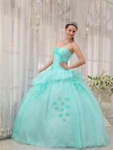 Organza Quince Dress with Sweetheart in Apple Green on Promotion