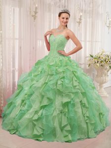 Elegant Ball Gown Style Sweetheart Quinceanera Dresses in Organza
