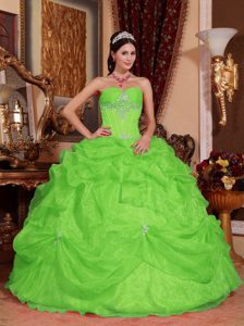 Spring Green Ball Gown Perfect Sweetheart Quince Dress in Organza