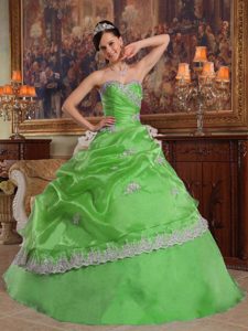 Affordable Spring Green Sweetheart Quinceanera Dress in Organza