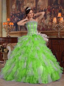 Strapless Low Price Appliqued Organza Quince Dress in Spring Green